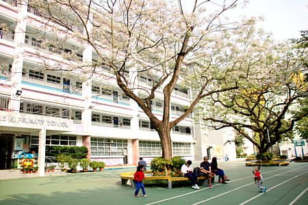 SIR ELLIS KADOORIE (SOOKUNPO) PRIMARY SCHOOL campus photo